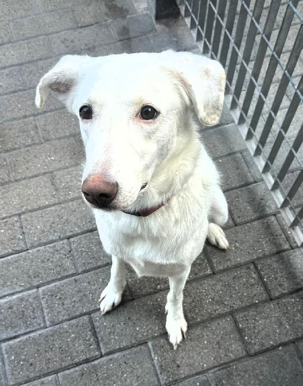 GENNA BELLISSIMA Foto 4